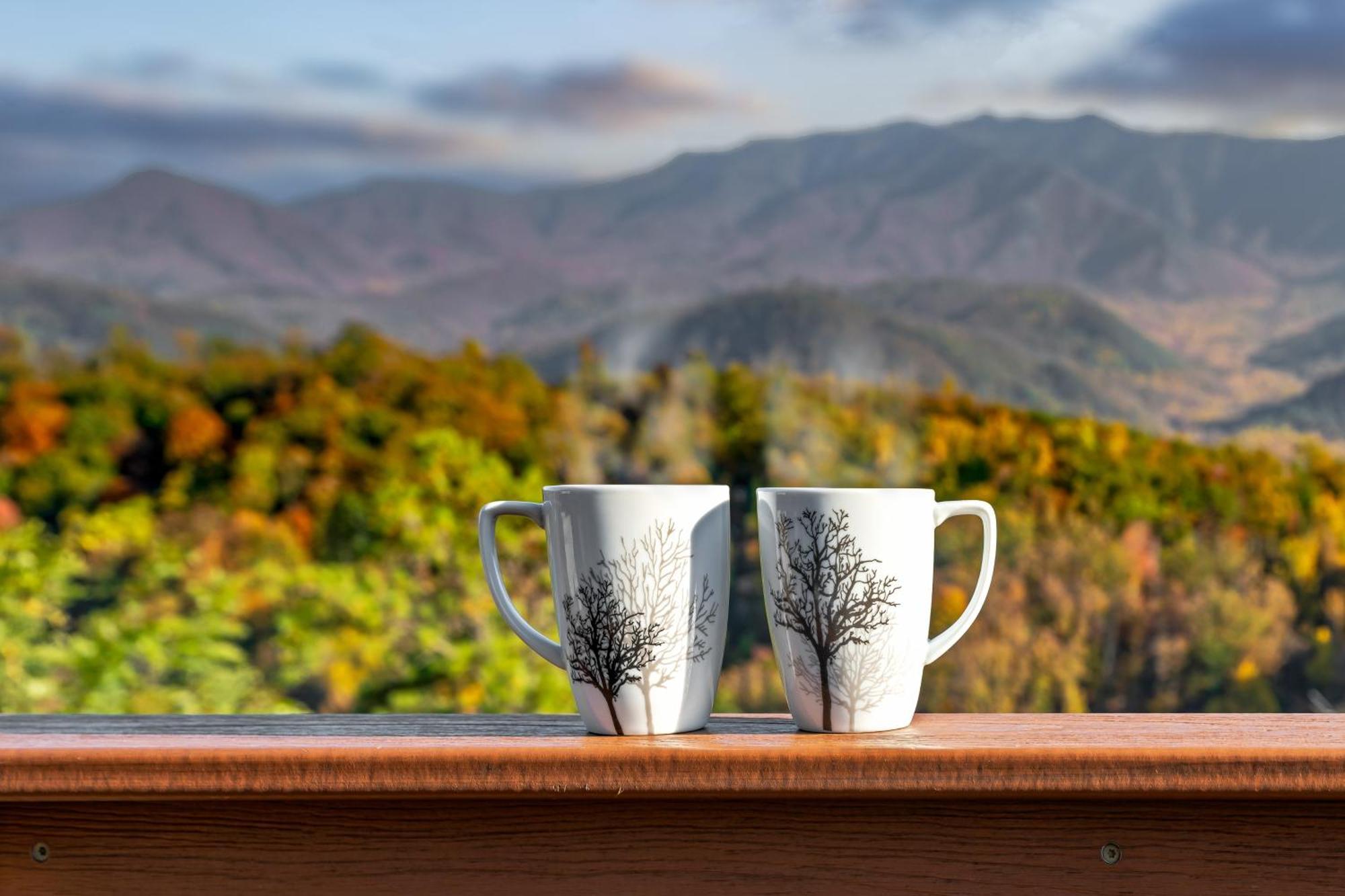 3 Bears Chalet Gatlinburg Εξωτερικό φωτογραφία